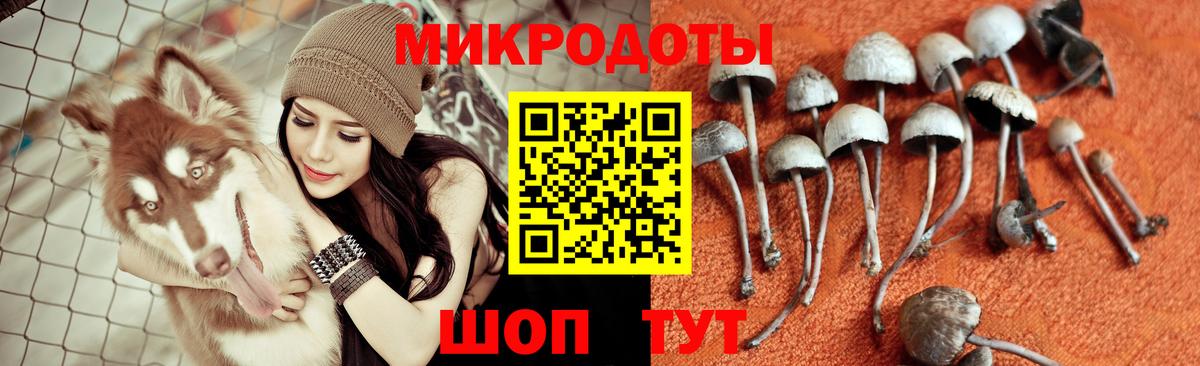Галлюциногенные грибы GOLDEN TEACHER Домодедово