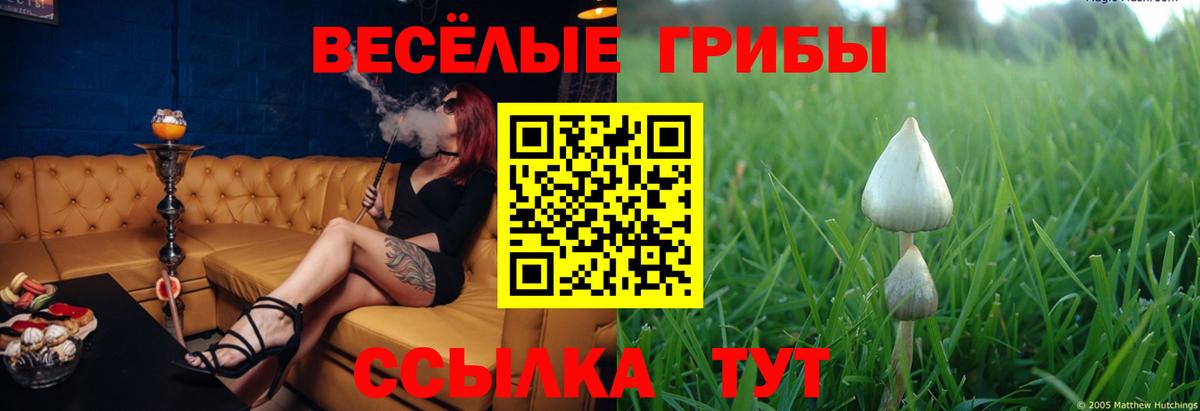 Домодедово  Псилоцибиновые грибы ЛСД  Галлюциногенные грибы Cubensis  Вход с VPN 